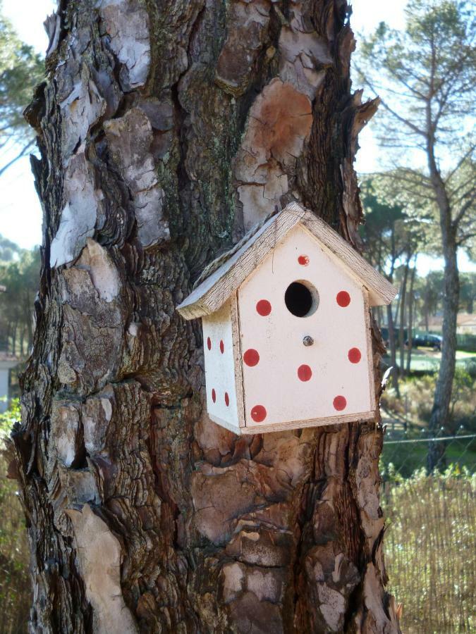 Casa Encantadora Con Piscina Privada Y Chimenea Villa Las Jaras Eksteriør billede
